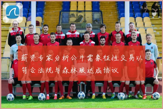 薪资专家分析公牛需象征性交易以符合法规与森林狼达成协议