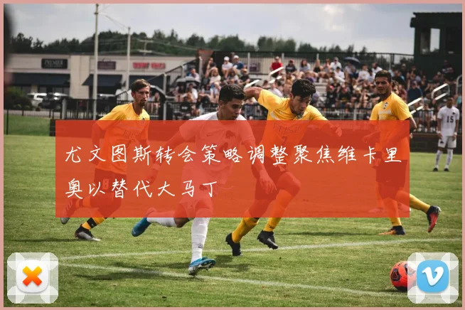 尤文图斯转会策略调整聚焦维卡里奥以替代大马丁